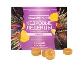 Леденцы кедровые ™ "Кедрини forte" Шалфей, большая упаковка (20 шт блистер) VM-00013006