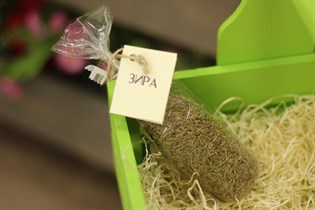 Зира ™ "Зеленая Улица" 70 гр VM-00001077