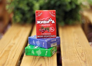 Смолка ™ "Алтайский нектар" "Живица Сибирская" в глазури без сахара с клюквой, блистер №5 по 0,8 г. VM-00005056
